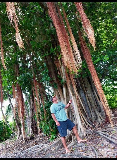  ,   Vladimir, 50 ,   ,   , c , 