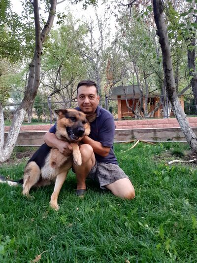  ,   , 53 ,   c , 