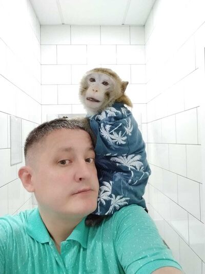  ,   , 42 ,     , c 