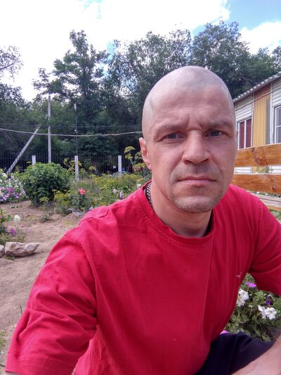  ,   , 46 ,   ,   , 