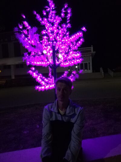  ,   , 37 ,   