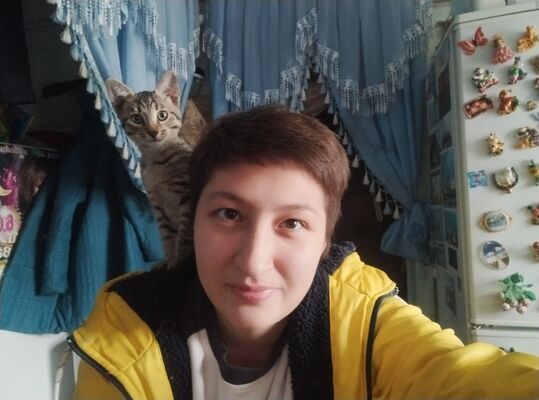  ,   , 28 ,     , c , 