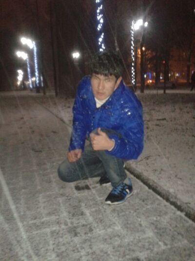  ,   Zamko, 31 ,   ,   , c , 