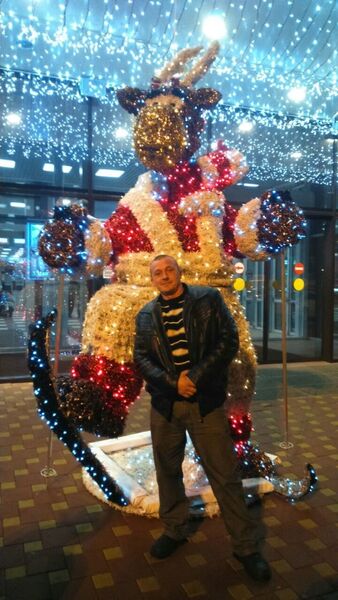  ,   , 44 ,   