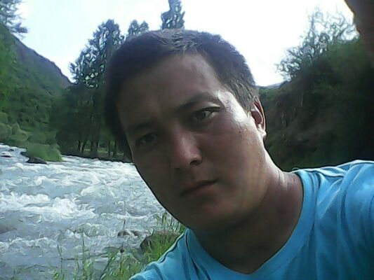  -,   , 38 ,   