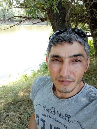  ,   Adelbek, 36 ,   ,   , c 