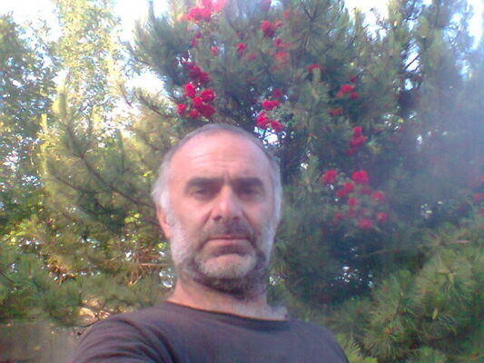   ,   , 47 ,  