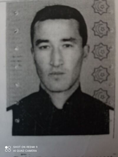  ,    , 38 ,   ,   