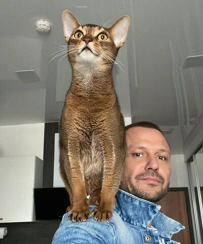  ,   , 40 ,   ,   , c 