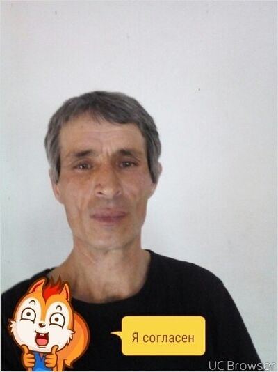  -,   , 52 ,   