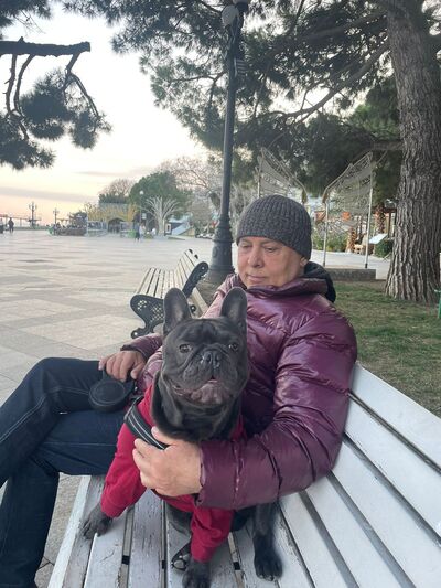  ,   , 61 ,   ,   