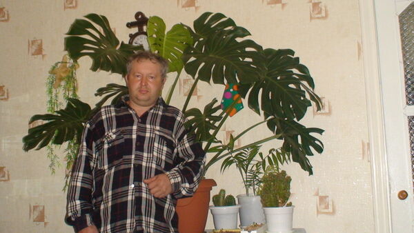 ,   , 54 ,   ,   , c 