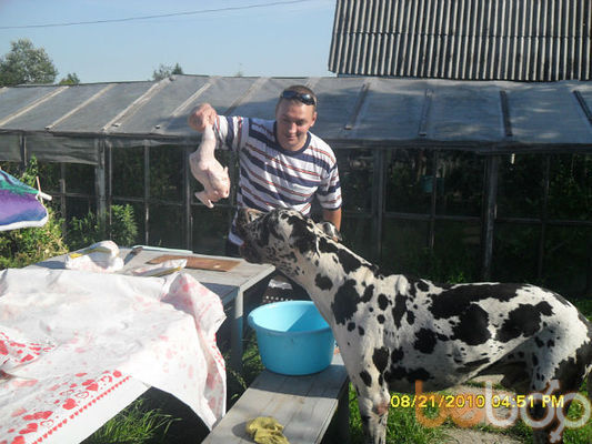  ,   Viktor, 46 ,   