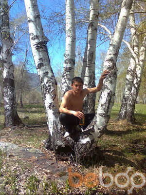  -,   , 41 ,   