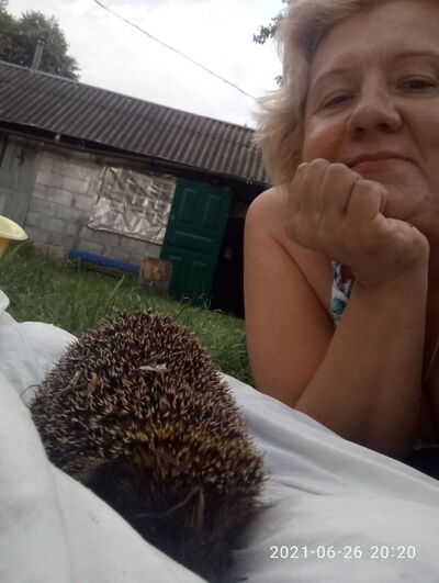 ,   , 54 ,   ,   