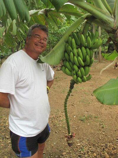  Albertson,   Alfredwilson, 60 ,   ,   , c 