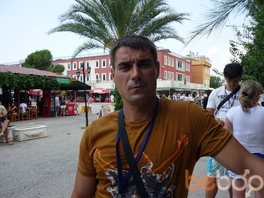   ,   , 43 ,   