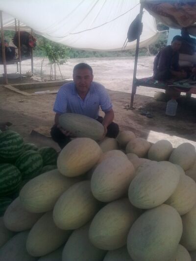 ,   Oybek, 45 ,   