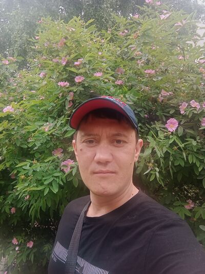  ,   , 37 ,   ,   