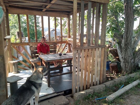  ,   , 46 ,   ,   , c 