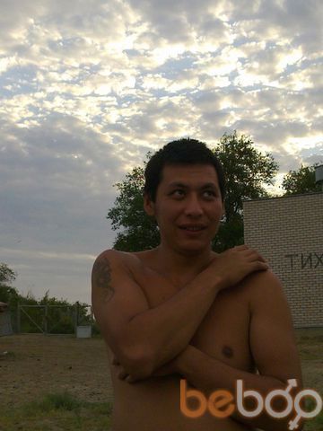 ���������� ������, ���� ������� Talik, 40 ���, ������������ ��� ����� � ���������, c�������� ���������, ���������