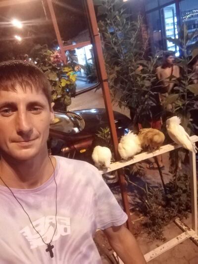  ,   , 37 ,   ,   , c , 