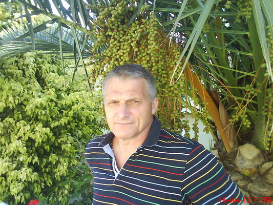 --,   , 63 ,  