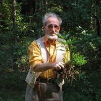  ,   Eduardas, 85 ,   ,   , c 