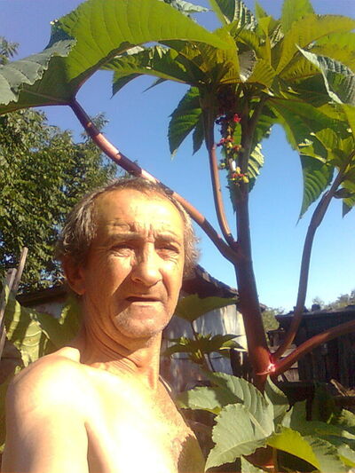  ,   , 63 ,   ,   , c 