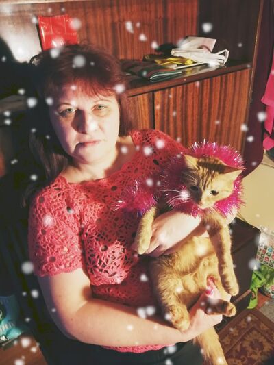  ,   , 55 ,     , c 