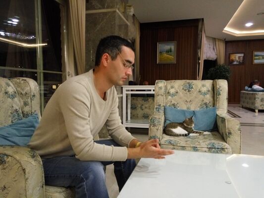   ,   , 38 ,   ,   , c 