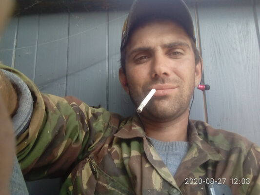  ,   , 33 ,     , c , 
