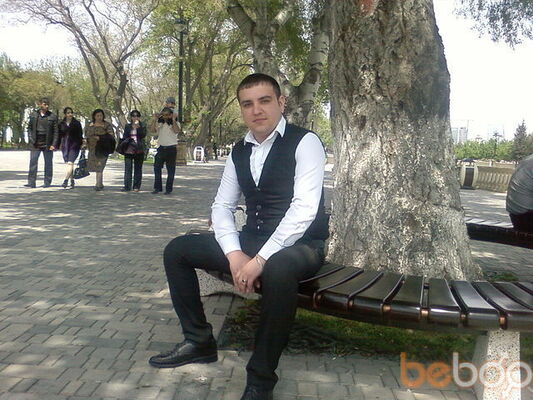  ,   Krasavcik, 37 ,     , c , 