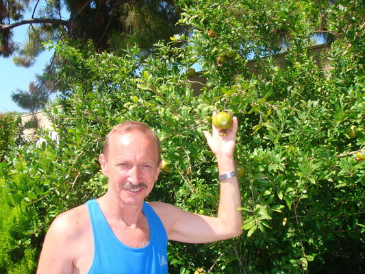  ,   , 65 ,   