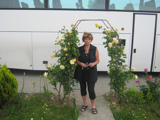  ,   , 62 ,   ,   
