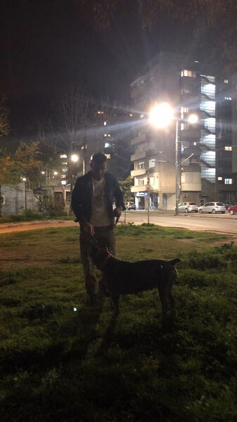 ,   Yunus, 29 ,   ,   