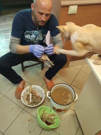  ,   , 43 ,   ,   , 