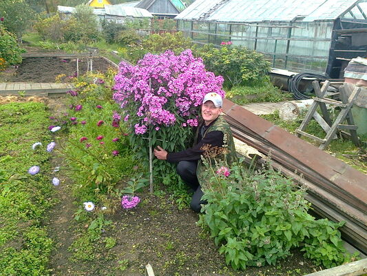  ,   KO, 46 ,     , c 