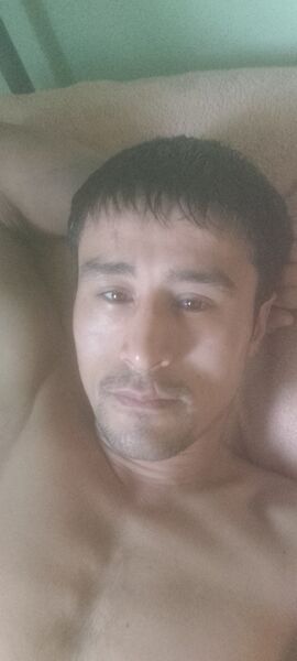  ,    , 43 ,   ,   