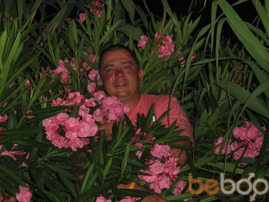  3387653  Vasili, 41 ,    