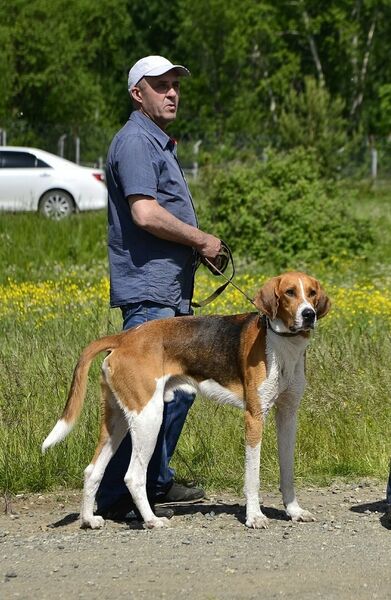   ,   , 64 ,   ,   , c 