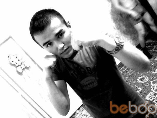  ,   Kanat, 33 ,   