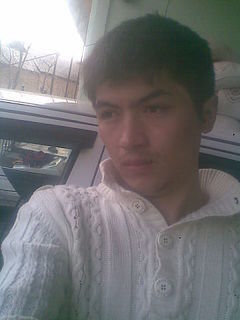  -,   , 37 ,  