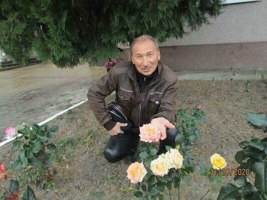  ,   , 65 ,   ,   
