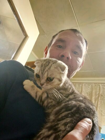  ,   , 39 ,   ,   
