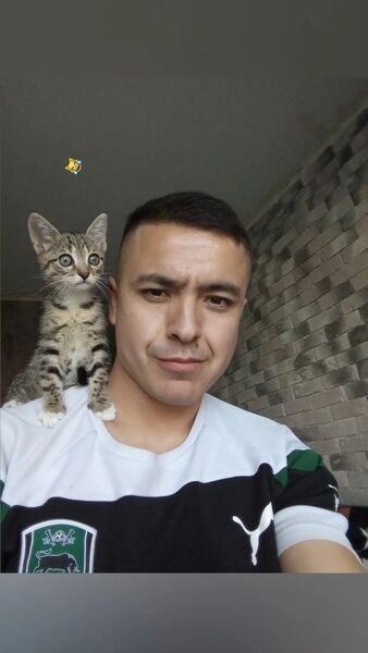  ,   , 33 ,   ,   , c , 