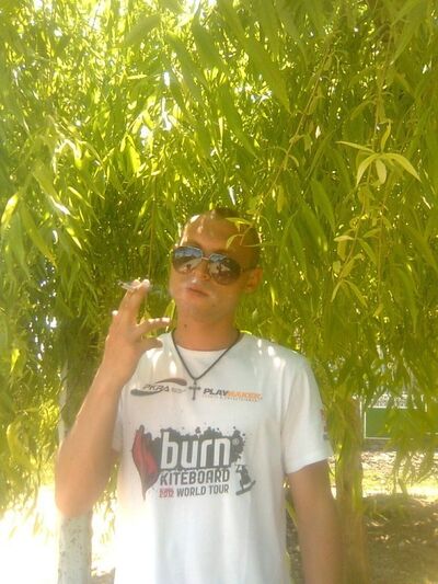 -,   , 33 ,  
