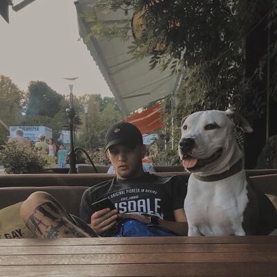  -,   , 23 ,   ,   , c 