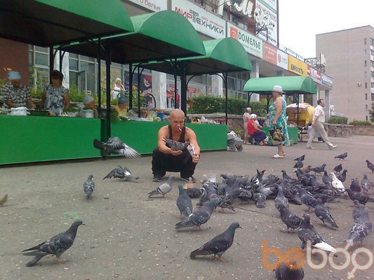  ,   MAG 73, 51 ,     , c , 
