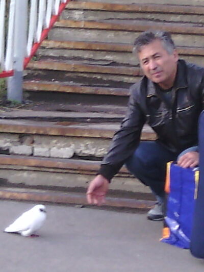  ,   , 66 ,     , c 